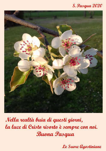 Immagine blog Istituto Santa caterina